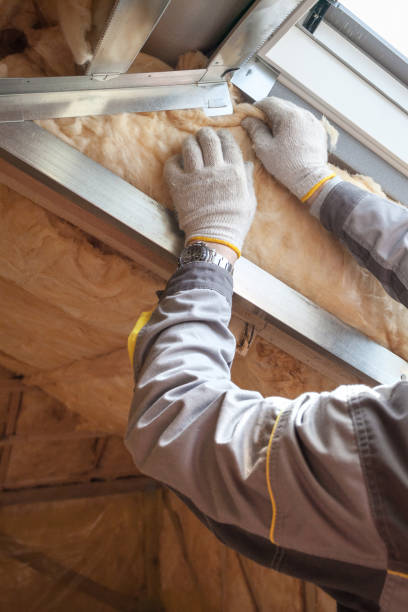 Professional Insulation Contractor in MD